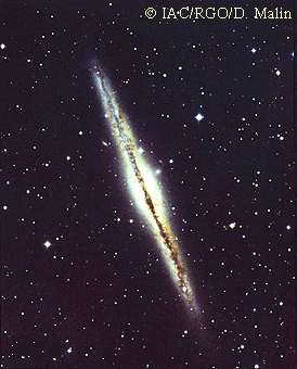 AAT image of NGC 891