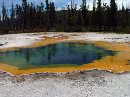 Hot spring at Yellowstone National Park -- colors from bacterial living at different temperatures and pH's