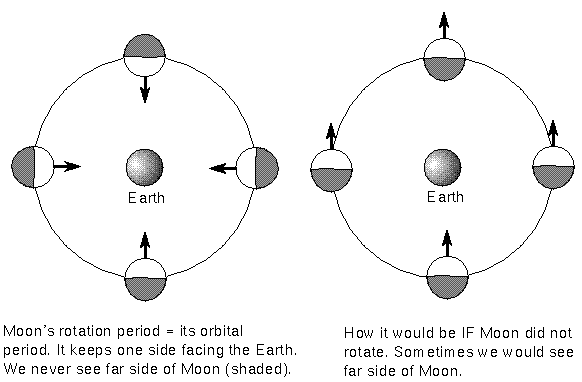 Isaac Newton got crucial information from the Moon's motion around the Earth 