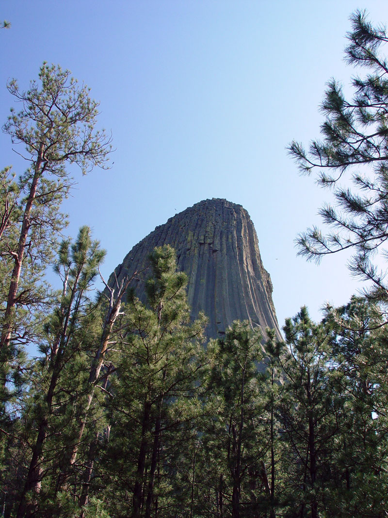 Devils Tower from Tower Trail NNE