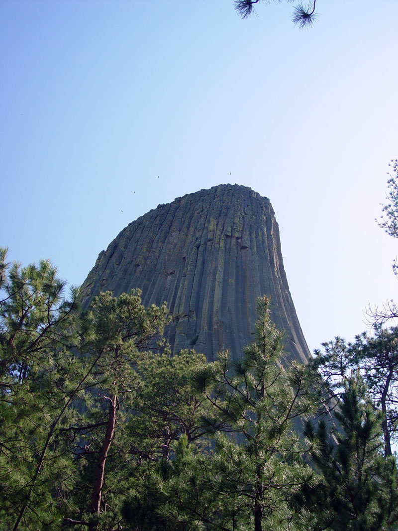 Devils Tower from Tower Trail NE