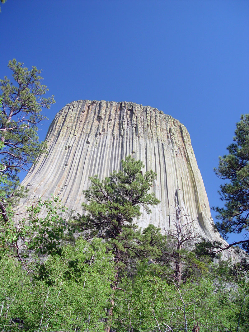 Devils Tower from Tower Trail WNW