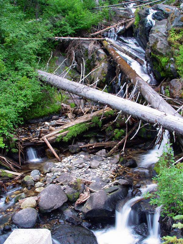 Stream running into East Fork of Wallowa River