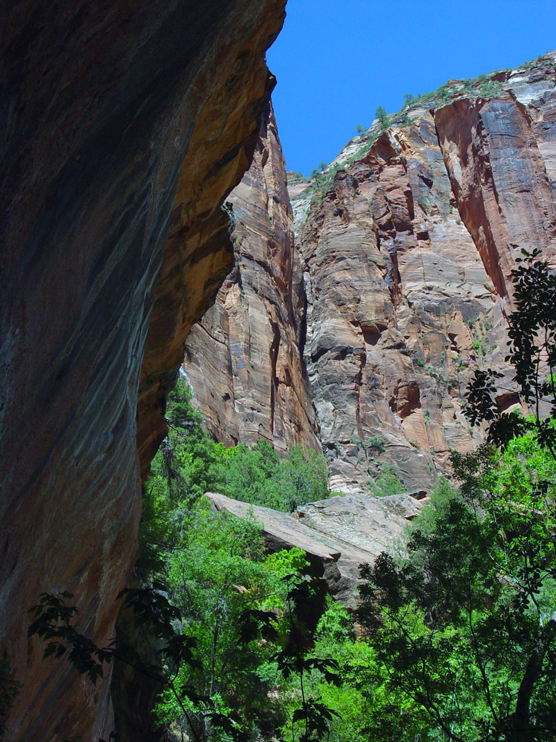 Near Lower Emerald Pool at Zion