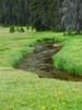 Stream in mountain meadow