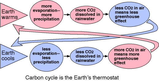 carbon cycle is the Earth's thermostat