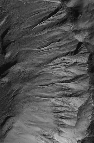 Gullies in the side of Newton Crater on Mars