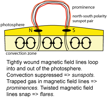 Sunspot - magnetic field connection