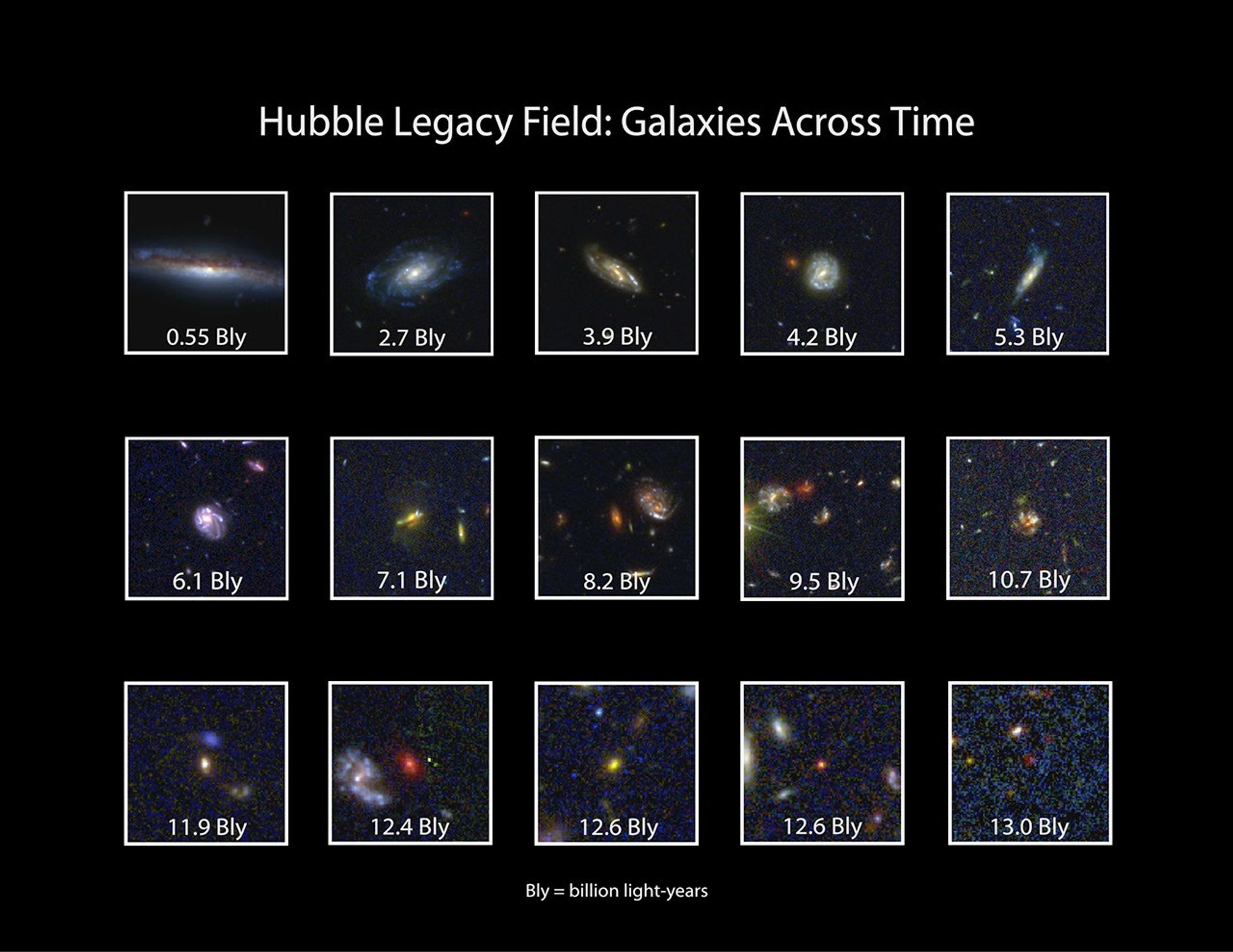 galaxies across time in the Hubble Legacy Field