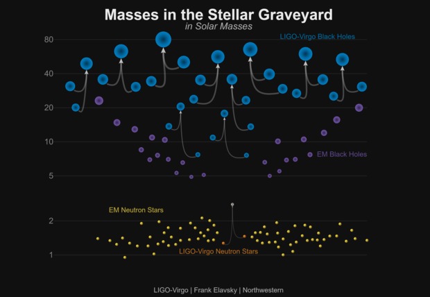 Black hole and neutron star populations as of December 2018