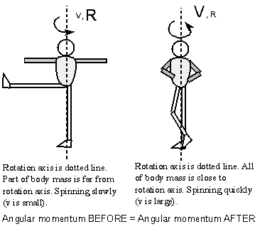 spinning ice skater increases spin speed