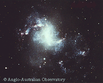 NGC 1313