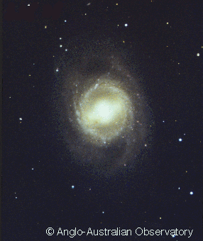 NGC 3351