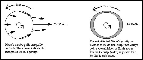 Moon's gravity produces tides