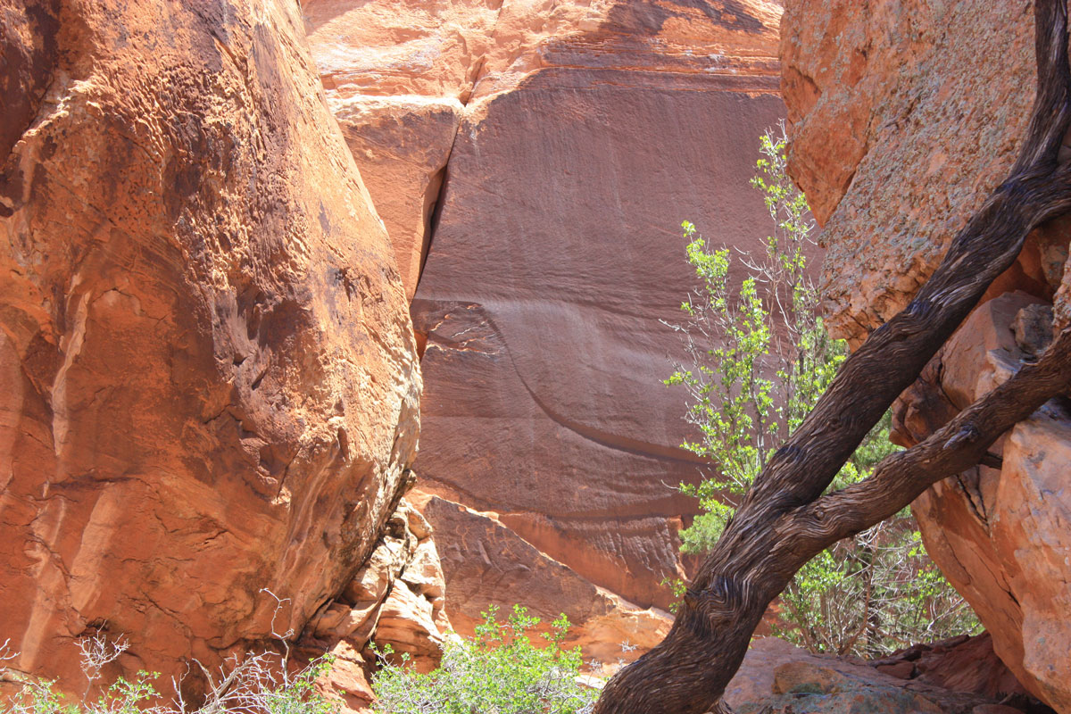 petroglyphs at Arches National Park