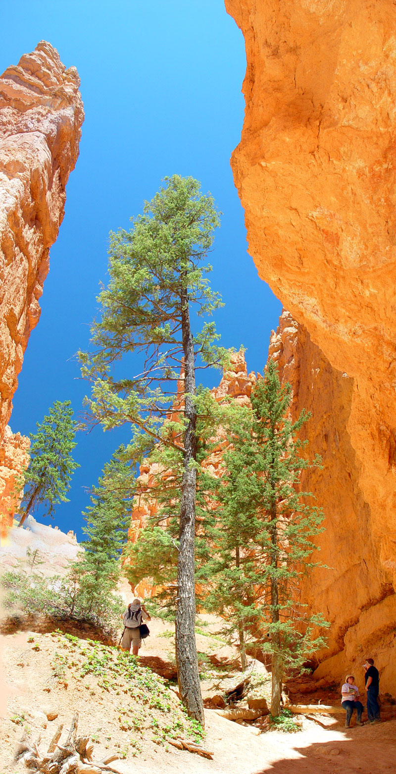 Navajo Loop