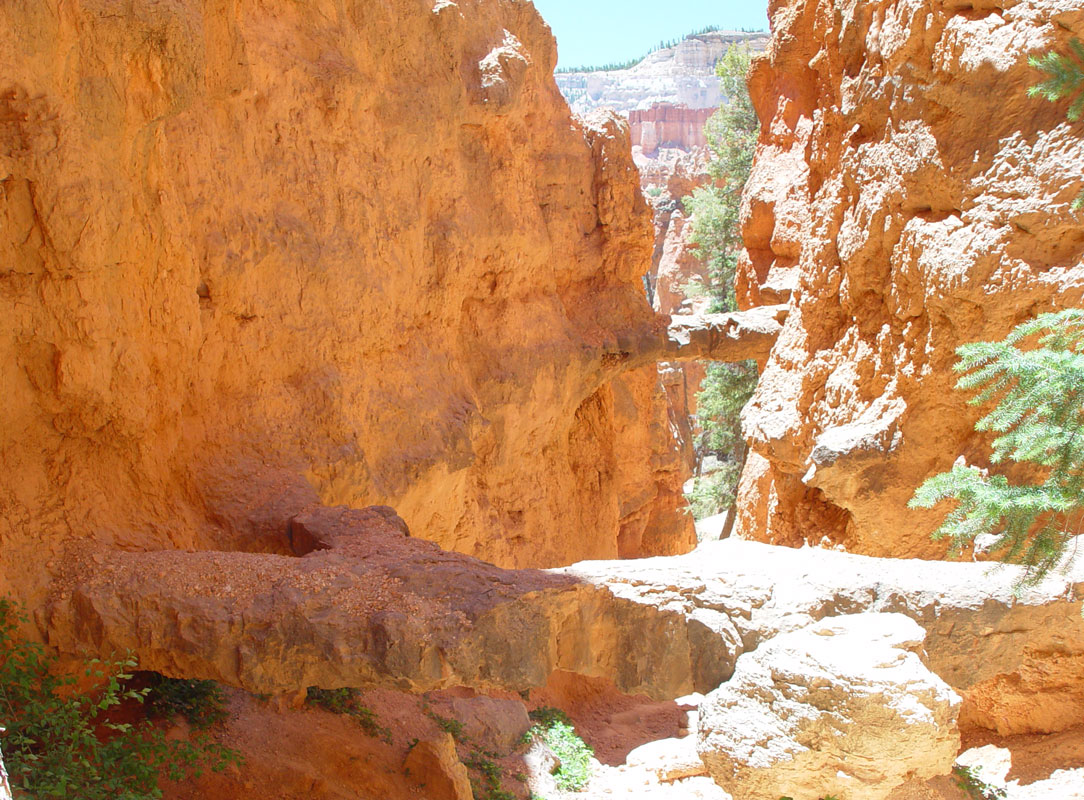 Two Bridges Navajo Loop