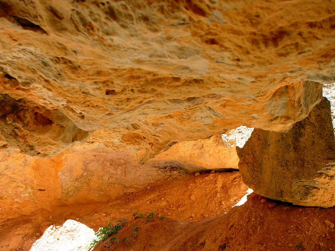 Two Bridges Navajo Loop