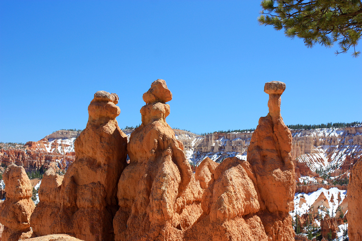 Hoodoos near top (start) of Queens Garden trail