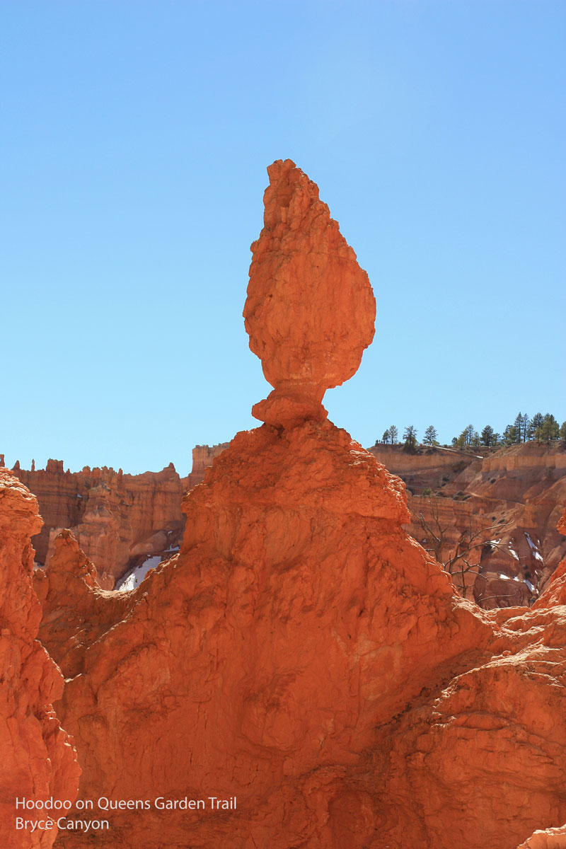 Hoodoo on Queens Garden Trail