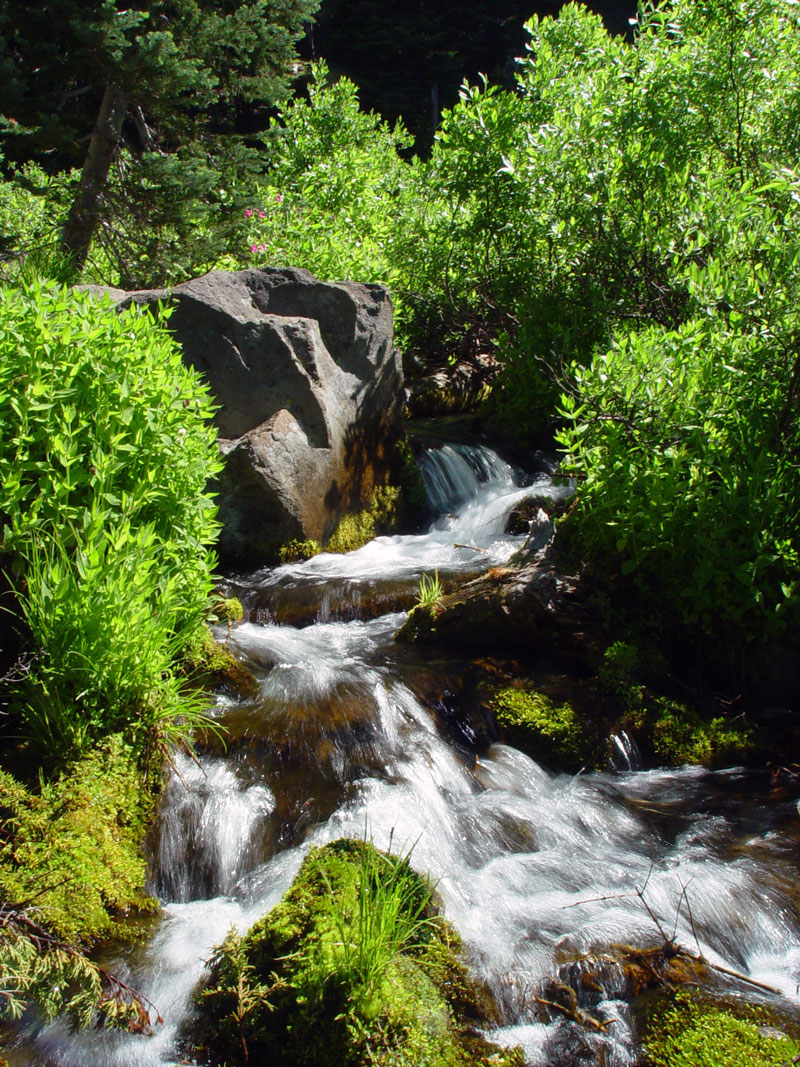 Stream near Mazama Village Crater Lake