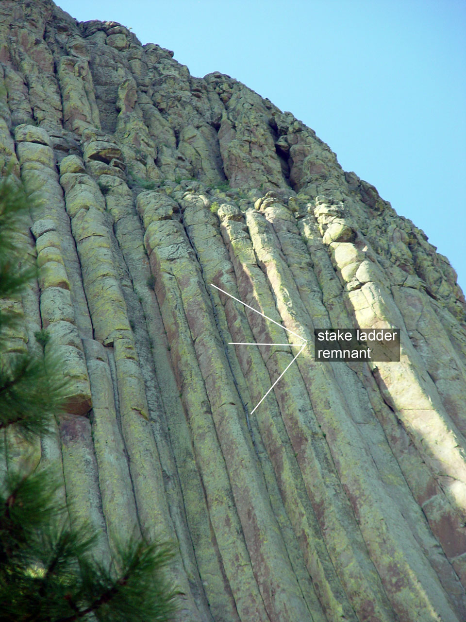 Devils Tower Stake Ladder remnant