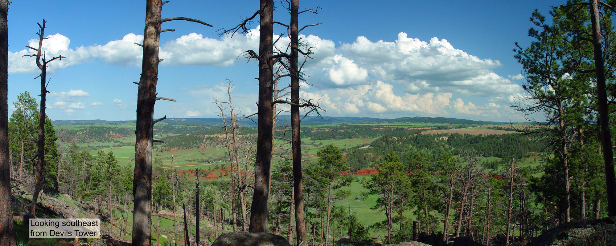 Devils Tower surroundings from Tower Tower Trail