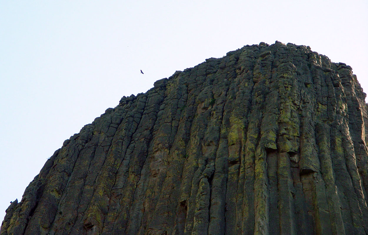 Devils Tower summit from Tower Trail NE