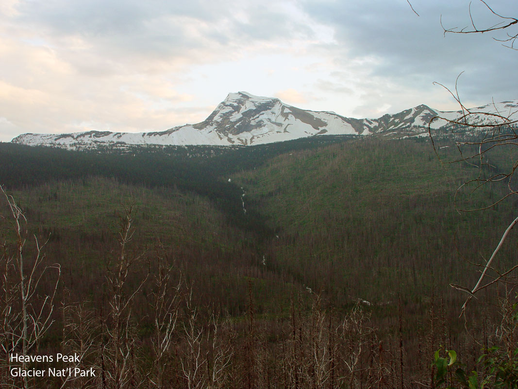 Heavens Peak Glacier National Park