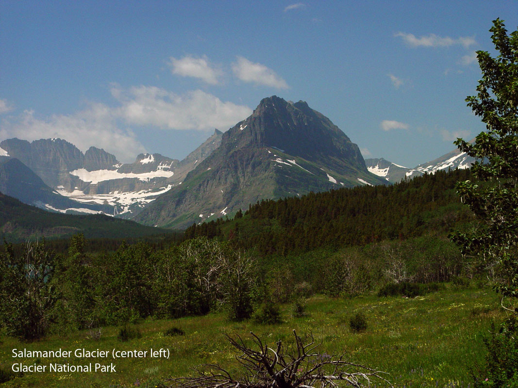 Salamander Glacier Glacier National Park