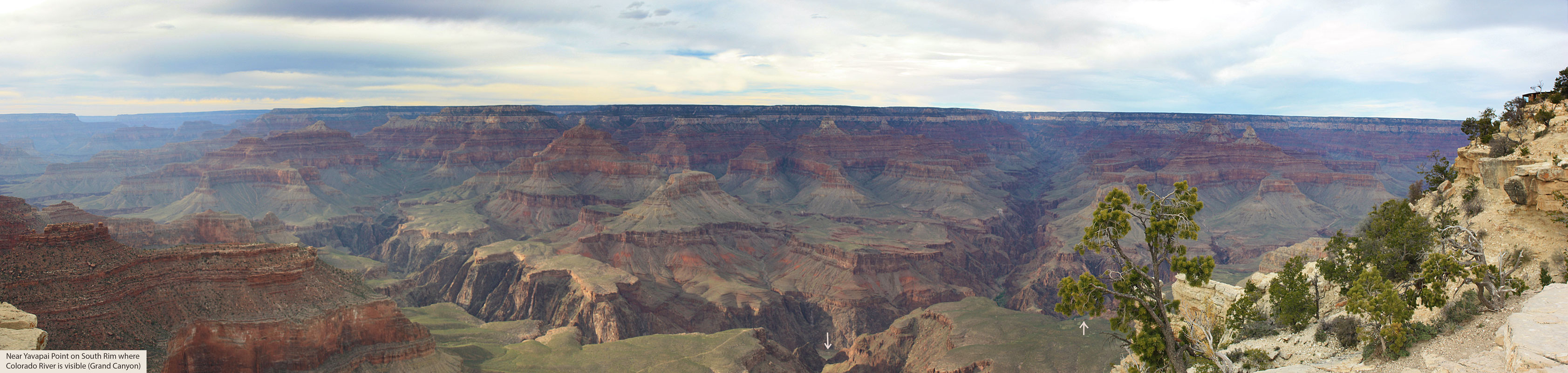 View from South Rim