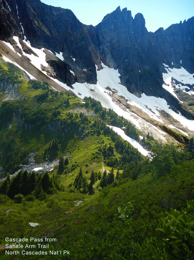 Cascade Pass seen from Sahale Arm