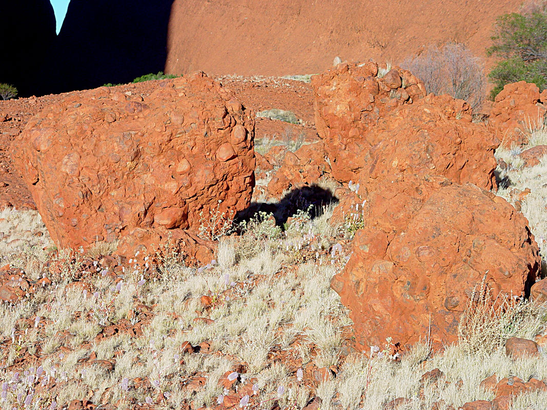 Conglomerate boulders at Walpa Gorge of Kata Tjuta