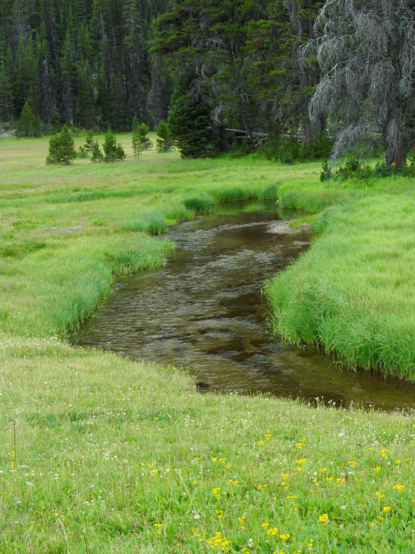 East Fork of Wallowa River