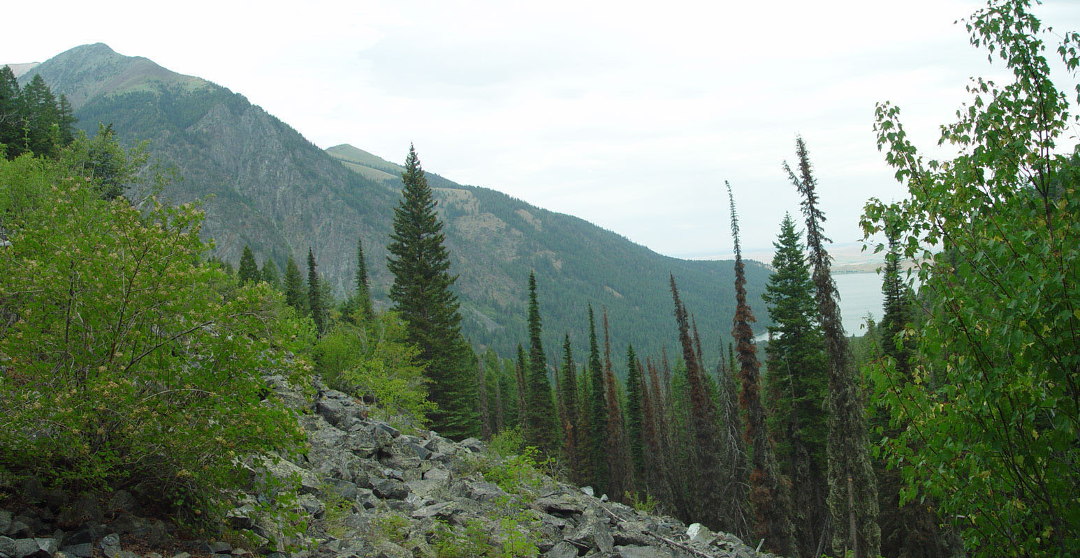 South of Wallowa Lake