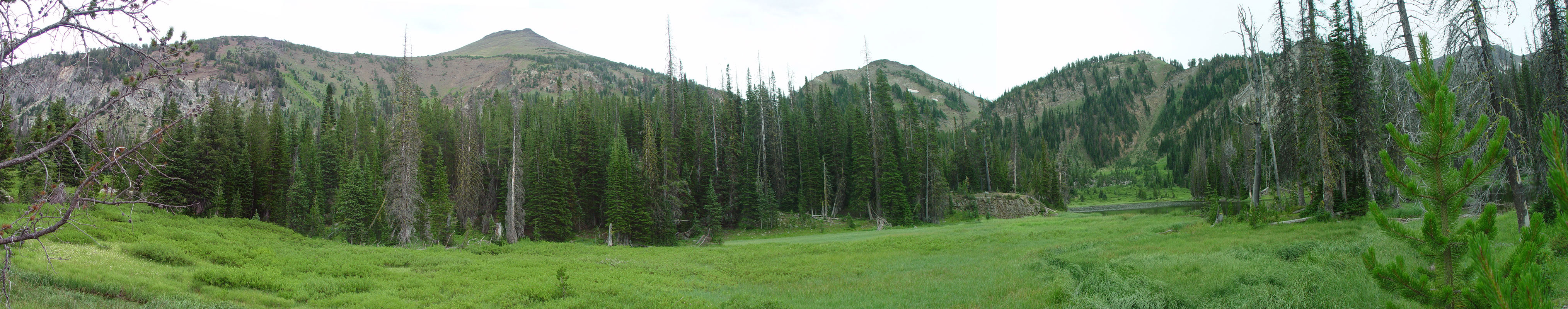 Meadow along East Fork Wallowa River trail