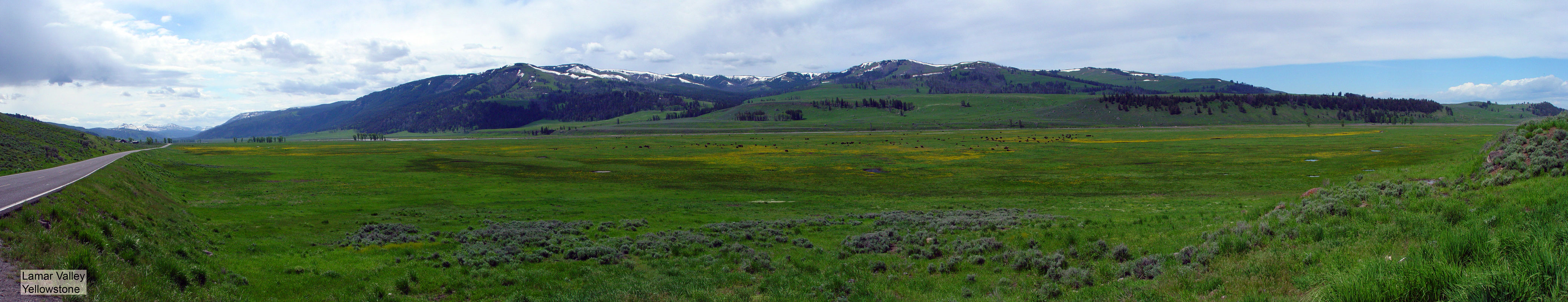 Lamar Valley Yellowstone