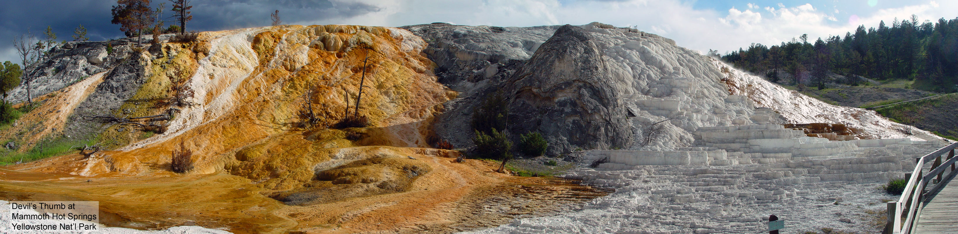 Devil's Thumb at Mammoth Hot Springs Yellowstone