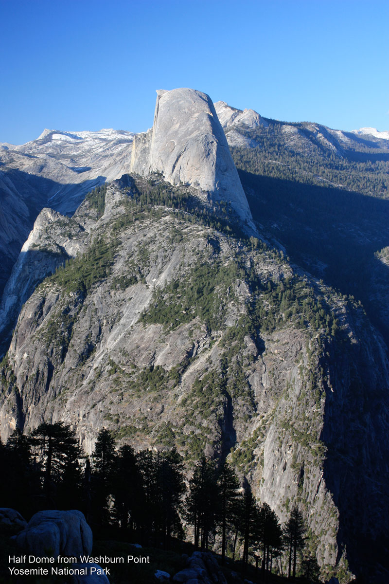 Half Dome seen from Washburn Point, Yosemite