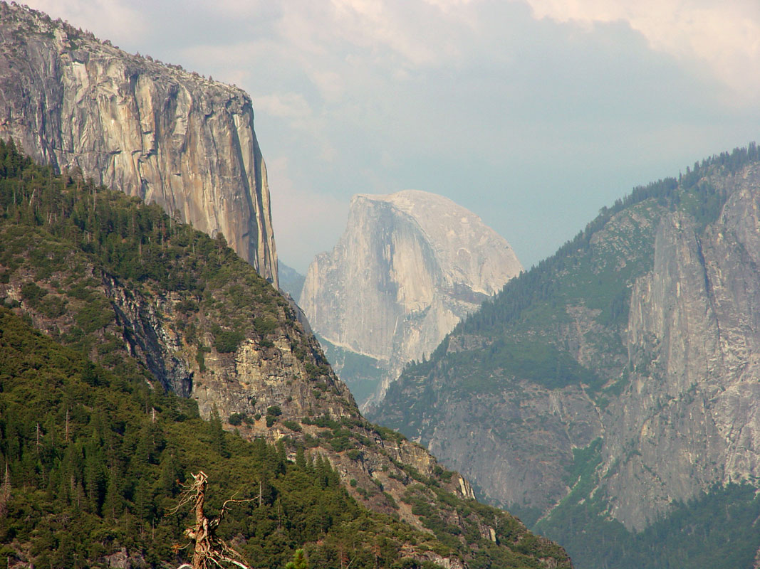 Half Dome in Yosemite, California 