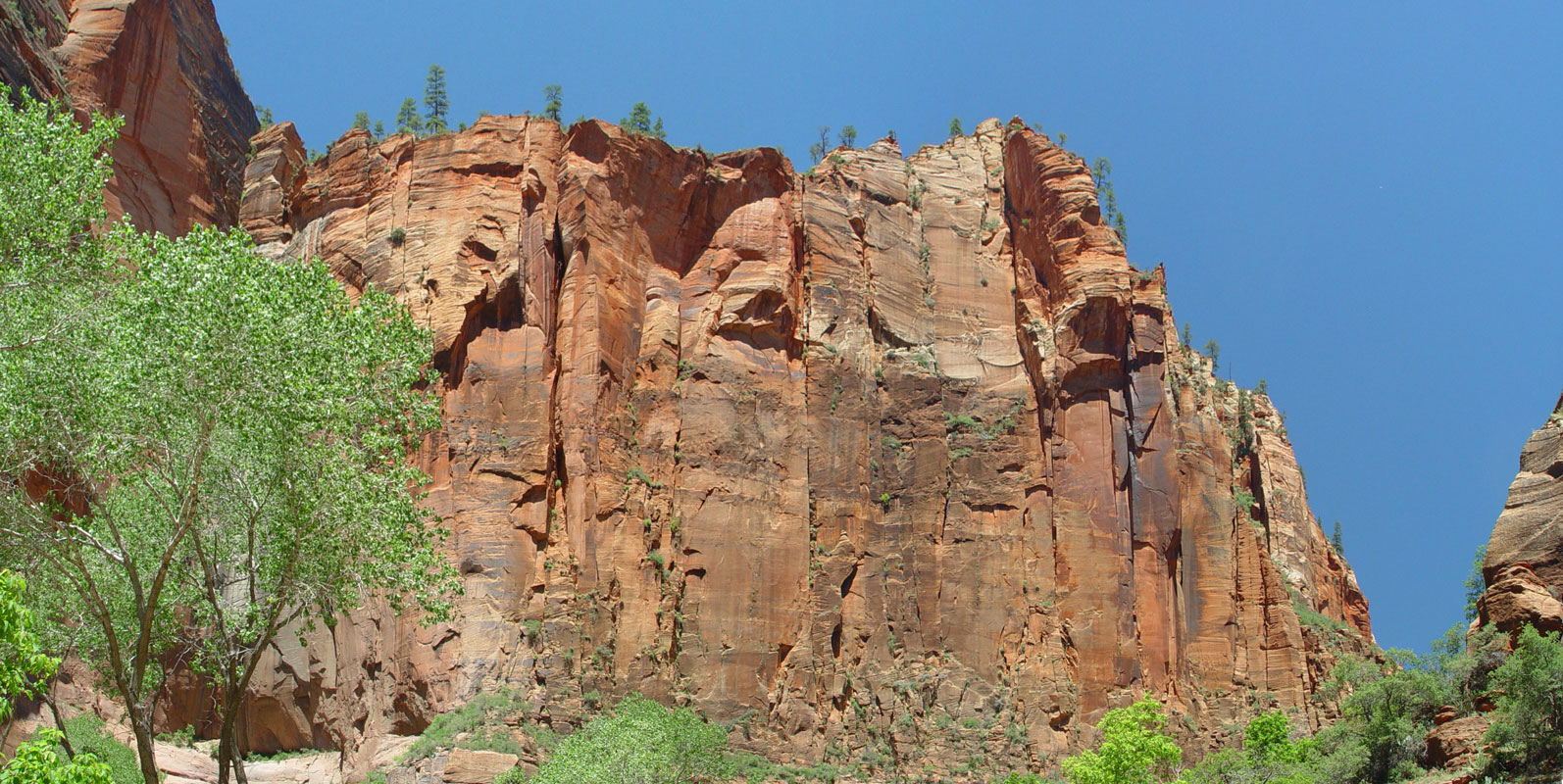 Along the Riverside Trail at Zion