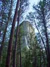 Tower Trail view of Devils Tower