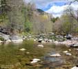 Banjo Bill Picnic area