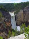 Lower Falls Yellowstone