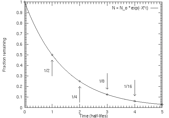 standard exponential decay curve