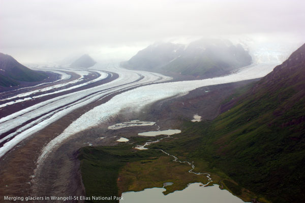 merging glaciers make the medial moraines