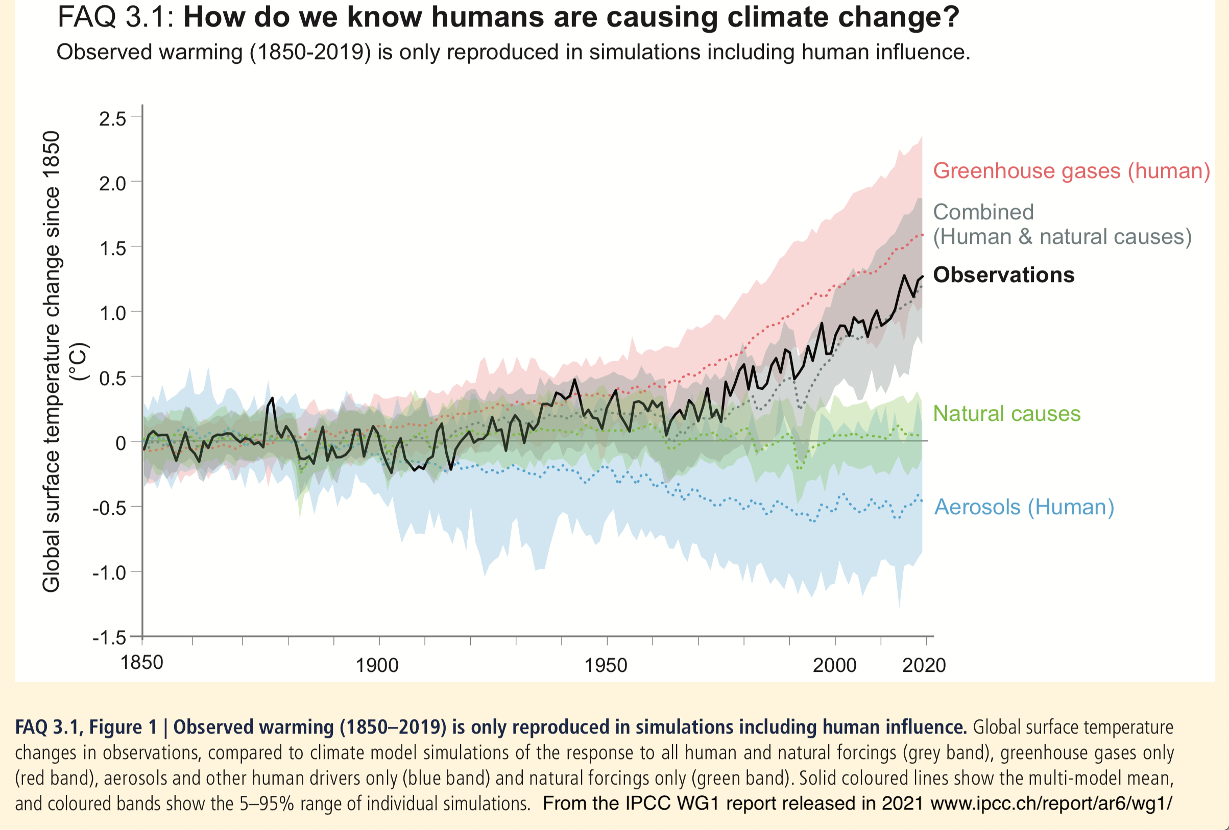 2021 update of the temperature curves from the IPCC WG1 report