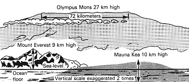 Volcanoes of Earth + Mars comparison